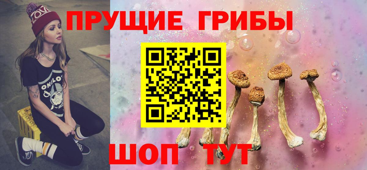 что такое   Псилоцибиновые грибы мухоморы  Вход с VPN  Сосновоборск 